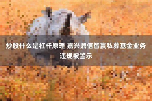 炒股什么是杠杆原理 嘉兴鼎信智赢私募基金业务违规被警示