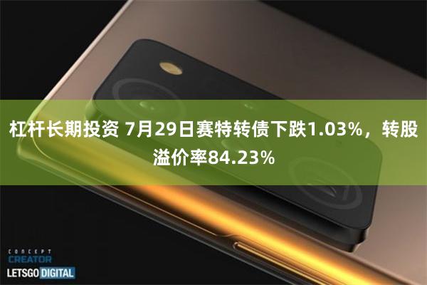 杠杆长期投资 7月29日赛特转债下跌1.03%，转股溢价率84.23%