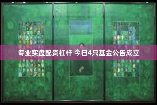 专业实盘配资杠杆 今日4只基金公告成立