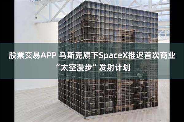 股票交易APP 马斯克旗下SpaceX推迟首次商业“太空漫步”发射计划