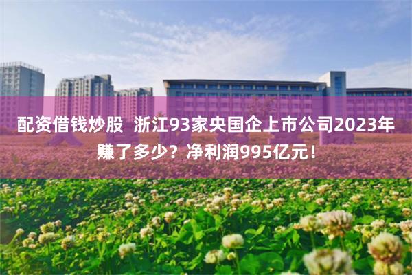 配资借钱炒股  浙江93家央国企上市公司2023年赚了多少？净利润995亿元！