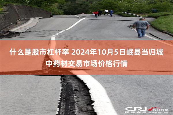 什么是股市杠杆率 2024年10月5日岷县当归城中药材交易市场价格行情