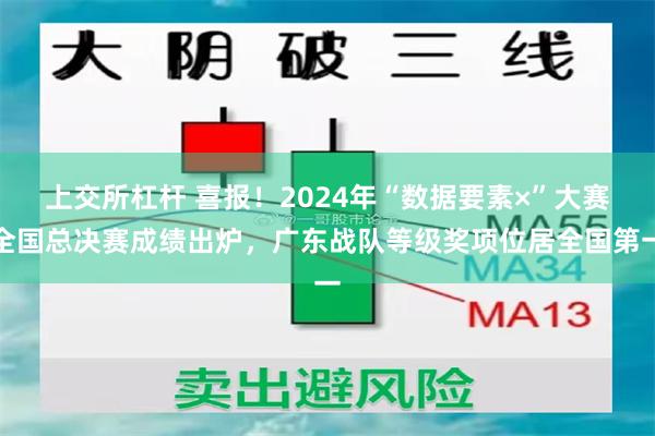 上交所杠杆 喜报！2024年“数据要素×”大赛全国总决赛成绩出炉，广东战队等级奖