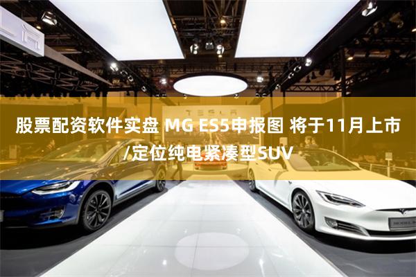 股票配资软件实盘 MG ES5申报图 将于11月上市/定位纯电紧凑型SUV