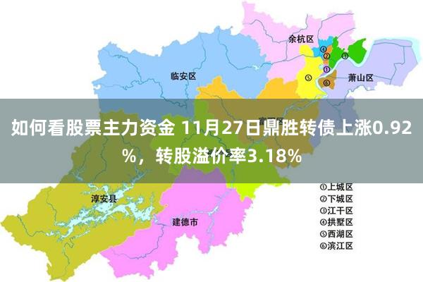 如何看股票主力资金 11月27日鼎胜转债上涨0.92%，转股溢价率3.18%