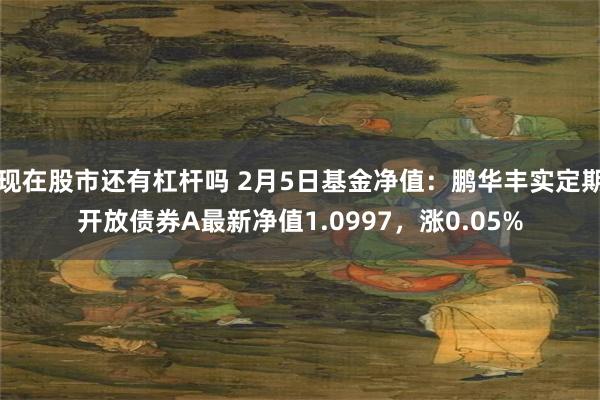 现在股市还有杠杆吗 2月5日基金净值：鹏华丰实定期开放债券A最新净值1.0997