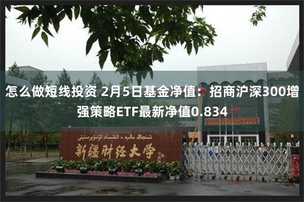 怎么做短线投资 2月5日基金净值：招商沪深300增强策略ETF最新净值0.834