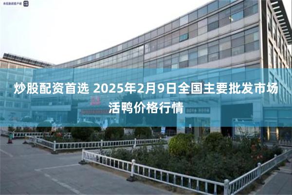 炒股配资首选 2025年2月9日全国主要批发市场活鸭价格行情