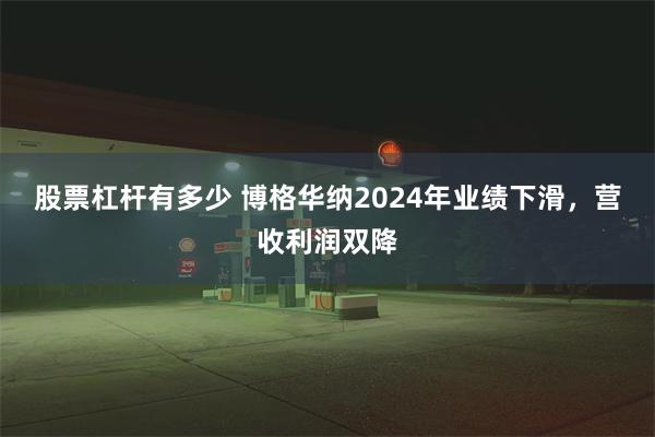 股票杠杆有多少 博格华纳2024年业绩下滑，营收利润双降