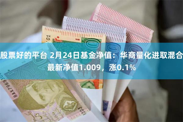 股票好的平台 2月24日基金净值：华商量化进取混合最新净值1.009，涨0.1%