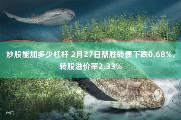 炒股能加多少杠杆 2月27日鼎胜转债下跌0.68%，转股溢价率2.33%