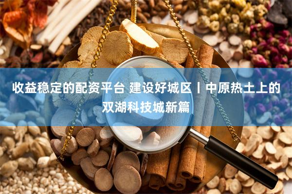 收益稳定的配资平台 建设好城区丨中原热土上的双湖科技城新篇